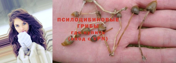 твердый Абдулино