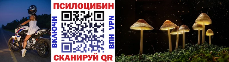 Галлюциногенные грибы Psilocybe  Чита 